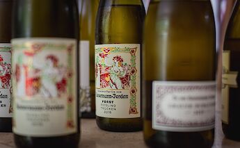 Many great local German wines to try! Sandra Grunewald@Unsplash