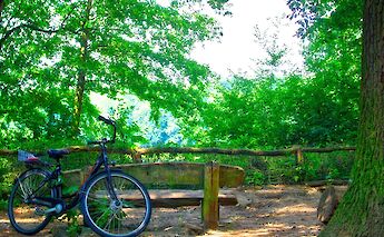 Grunewald Forest, Germany. Sergiy Galyonkin@Flickr