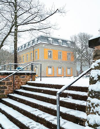 Bonn, Germany. Carolina Nichitin@Unsplash