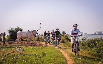 Biking on dirt roads on Silk Island, Phnom Penh, Cambodia. Grasshopper Active Day Tours