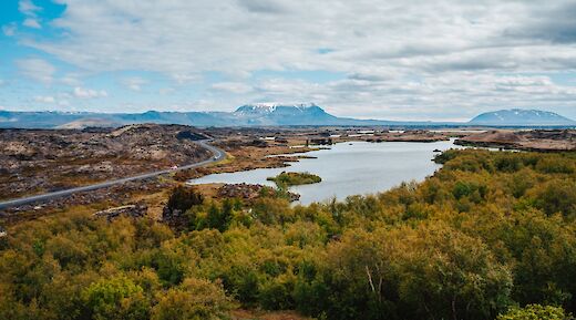 Trees and a clear road around the lake during summer, Lake Myvatn, Iceland. Richard Dorran@Unsplash
