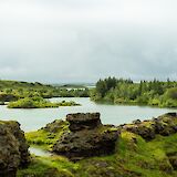 Beautiful greens around the lake during summer, Lake Myvatn, Iceland. Jonathan Ybema@Unsplash