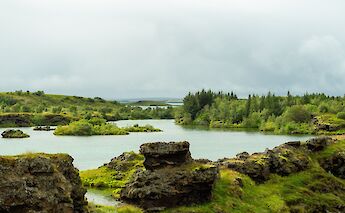 Beautiful greens around the lake during summer, Lake Myvatn, Iceland. Jonathan Ybema@Unsplash