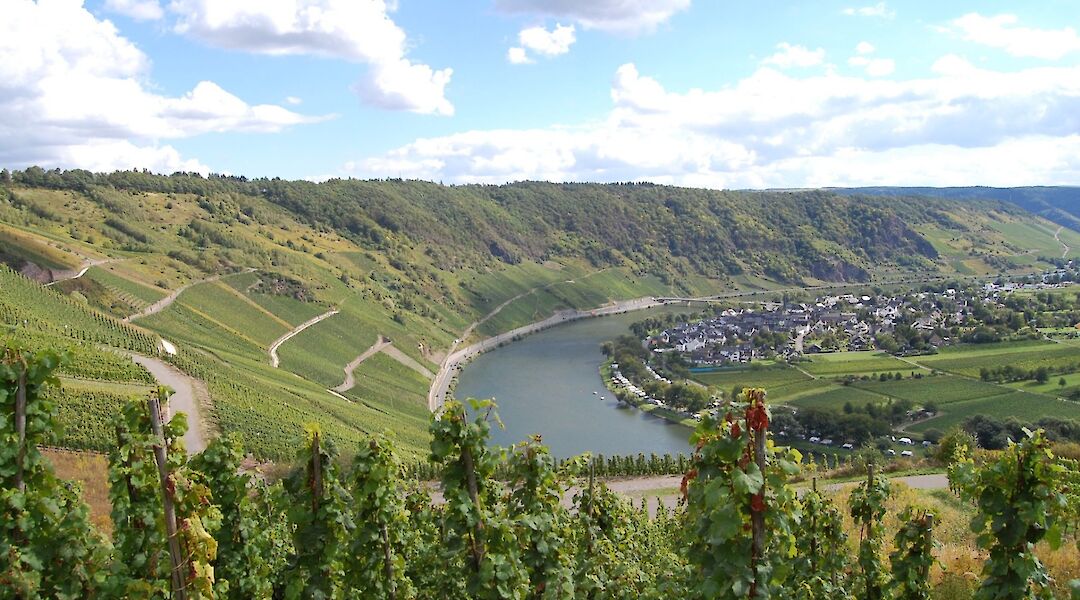 Biking the Mosel River Valley!