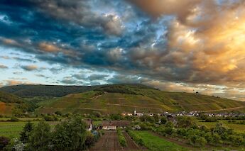 Biking the Mosel River Valley! ©Hollandfotograaf