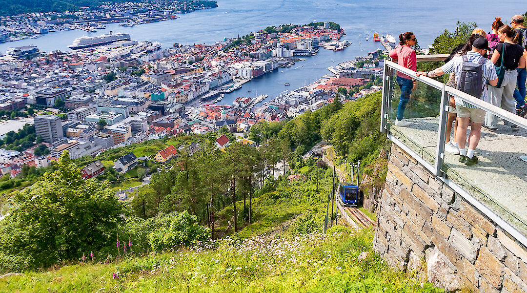 The view over Bergen and its harbor from the hillside above
