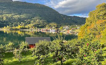 Bergen to Sognefjord Norway Bike Tour ©BikeTours