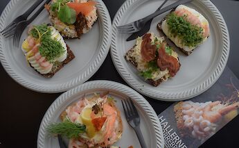 Smørrebrød - typical Norwegian sandwiches. Anastracia Dvi@Unsplash