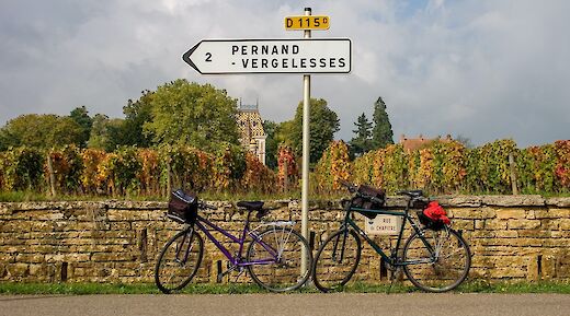 5 night  guided or self guided bike tour in France