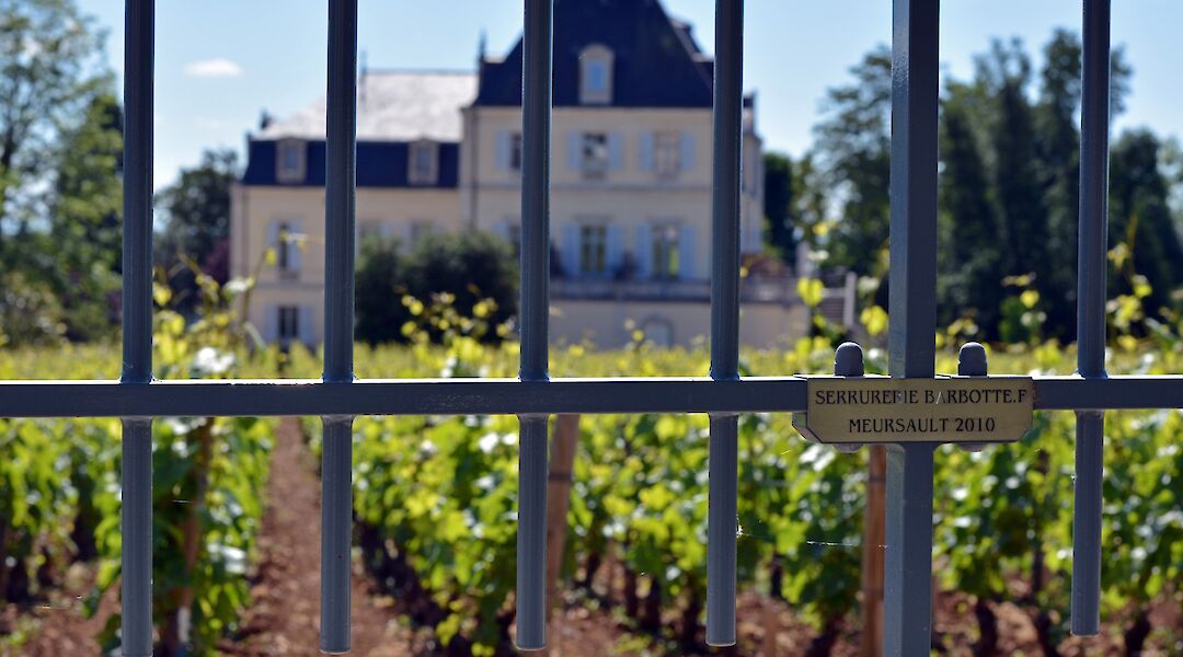 Wine, Dine and Electric Bike in Burgundy
