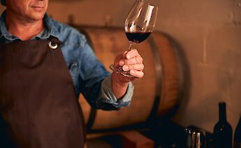 Vintner, France. Unsplash:Getty Images