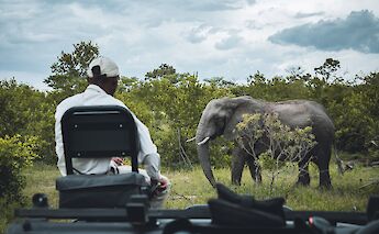 Kruger National Park, South Africa. Sebastian Canaves@Unsplash