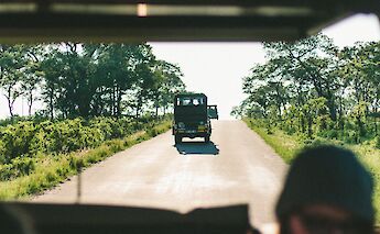 Kruger National Park, South Africa. Anna Kateauten@Unsplash