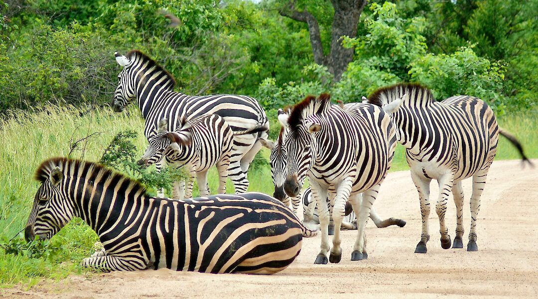 Kruger National Park, South Africa. Bernard Dupont@Flickr