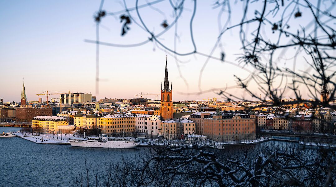 Skyline view of central Stockholm from Södermalm, with snow-dusted buildings and a prominent church spire, framed by tree branches.