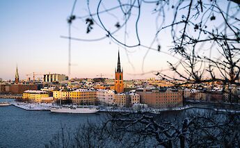Skyline view of central Stockholm from Södermalm, with snow-dusted buildings and a prominent church spire, framed by tree branches.