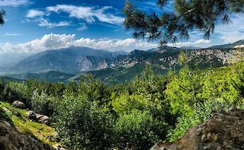 Lush greenery around the mountains, Fethiye, Turkey. Unsplash:Olga Subach