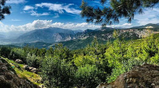 Lush greenery around the mountains, Fethiye, Turkey. Unsplash:Olga Subach