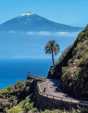 A cyclist rides on a coastal road surrounded by lush greenery, with a palm tree and Mount Teide in the background overlooking the ocean in Tenerife, Spain.