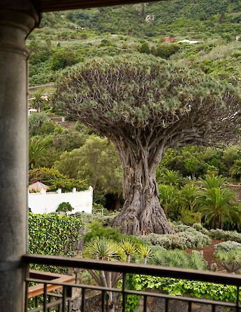 Garachico, Tenerife, Spain. Matthias Fuhrimann@Unsplash