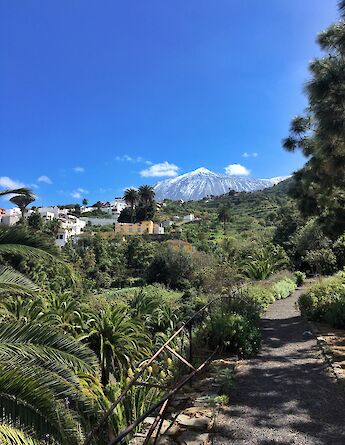Tenerife is part of the Canary Islands belonging to Spain. Maria Bobrova@Unsplash