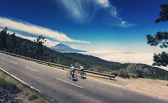 Two cyclists ride along a mountain road above the clouds, with Mount Teide visible in the distance and pine forests on either side in Tenerife, Spain.