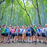 Bamboo Forest along the Shimanami Kaido Cycling Route & Shikoku Island in Japan