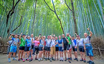 Bamboo Forest along the Shimanami Kaido Cycling Route & Shikoku Island in Japan