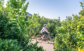 Biking the Shimanami Kaido Cycling Route & Shikoku Island in Japan