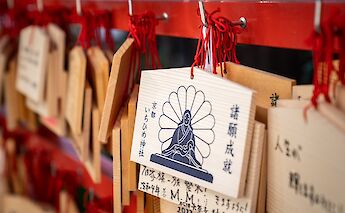 Shimanami Kaido Cycling Route & Shikoku Island in Japan