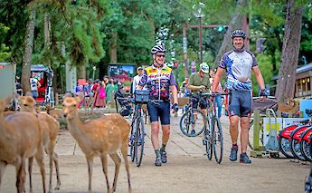Shimanami Kaido Cycling Route & Shikoku Island in Japan