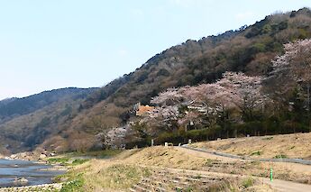 Kasagi in Kyoto, Japan. CC:アラツク