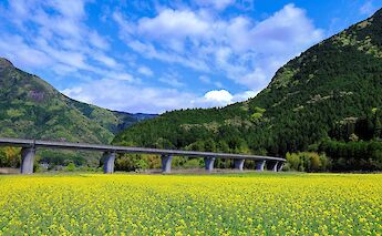 Kumano Kodo Pilgrimage Route in Japan
