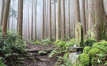 Kumano Kodo Pilgrimage Route in Japan