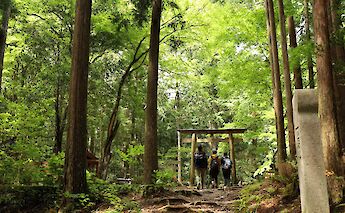 Kumano Kodo Pilgrimage Route in Japan