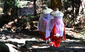 Kumano Kodo Pilgrimage Route in Japan