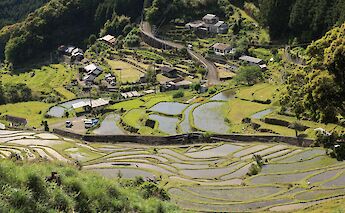 Kumano Kodo Pilgrimage Route in Japan