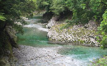 Kumano Kodo Pilgrimage Route in Japan
