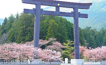 Kumano Kodo Pilgrimage Route in Japan