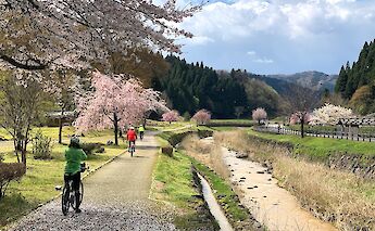 Kumano Kodo Pilgrimage Route in Japan
