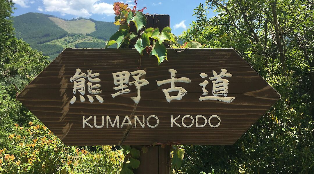 Kumano Kodo Pilgrimage Route in Japan! Dino Johannes@Unsplash