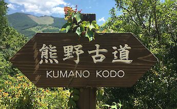 Kumano Kodo Pilgrimage Route in Japan! Dino Johannes@Unsplash