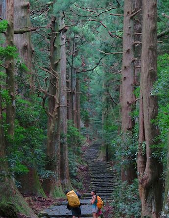 Nachi-Katsuura, Wakayama Prefecture, Japan. Nakaharu Line@Unsplash