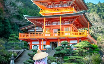 Nachisan in Nachi-Katsuura, Wakayama Prefecture, Japan. Nicolas Caetano@Unsplash