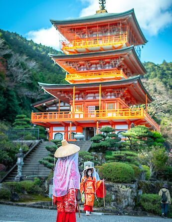 Nachisan in Nachi-Katsuura, Wakayama Prefecture, Japan. Nicolas Caetano@Unsplash