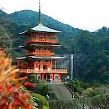 Nachiyama Three-Story Pagoda, Nachisan, Nachi-Katsuura, Wakayama, Japan. Susann Schuster@Unsplash