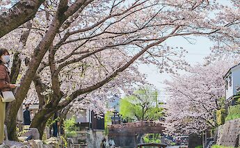 Ōmihachiman in Shiga Prefecture, Japan. Rom&eacute;o A.@Unsplash
