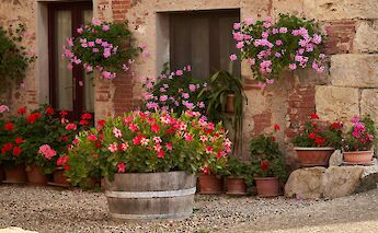 Castello di Brolio in Gaiole in Chianti, Tuscany, Italy. Wolfgang Hasselmann@Unsplash