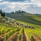 Tuscany's Gravel Routes