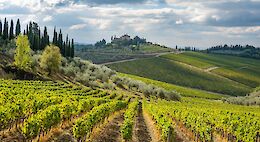 Tuscany's Legendary Gravel Routes